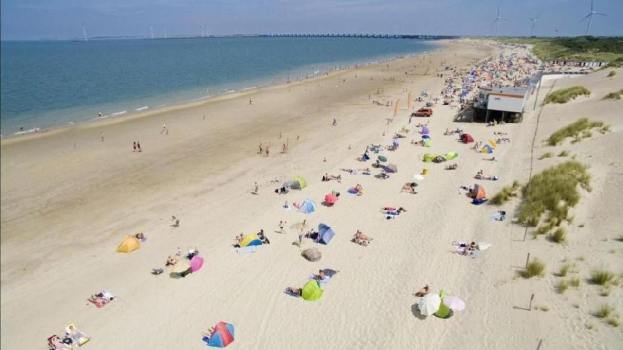 AreaSummer20KM AreaSummer20KM